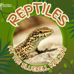 Reptiles at The Bluebell Railway