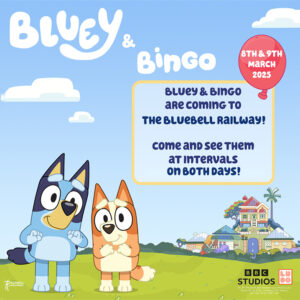 Bluey & Bingo