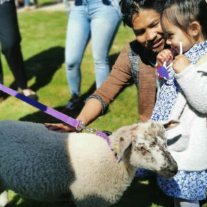 Mobile Farm at Kingscote